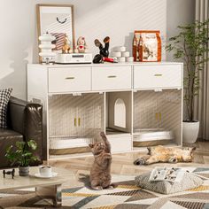 a cat sitting on the floor in front of a white cabinet with drawers and shelves