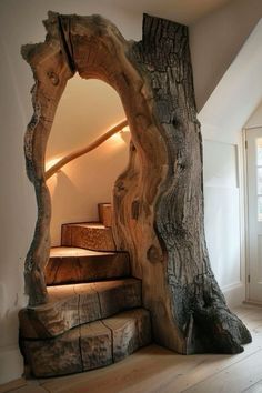 a tree trunk is in the shape of a staircase