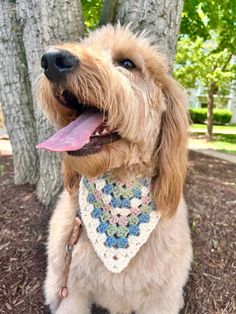 a dog wearing a crochet bib in front of a tree