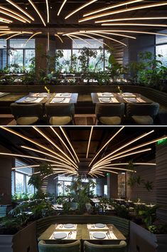 two pictures of the inside of a restaurant with tables and chairs, plants on the wall