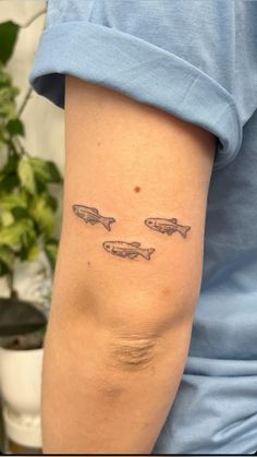 Neon tetra fish tattoo Fish Band Tattoo, Tiny Water Tattoo, Fish Ankle Tattoo, Minnow Tattoo, Fish Hip Tattoo, Bass Fish Tattoo, Rainbow Trout Tattoo, River Tattoos, Catfish Tattoo