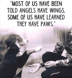 a woman kneeling down next to a dog with its paw on her leg and the caption most of us have been told angels have wings, some of us have learned they have paws