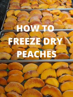 how to freeze dry peaches