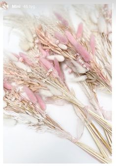 dried pink and white flowers on a white surface