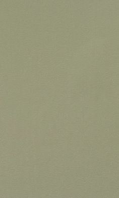 Matte Taupe Plain Wallpaper SR1549 Whimsical Wallpaper, Plain Black Background, Pastel Color Background, Brewster Wallcovering, York Wallpaper, Schumacher Fabric, Plain Wallpaper, Plains Background, Beige Wallpaper