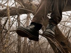 a person standing on top of a tree branch in the middle of a forest with no leaves