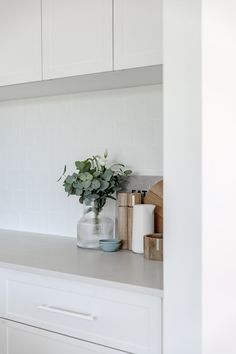 a white kitchen counter with some plants and other items on it