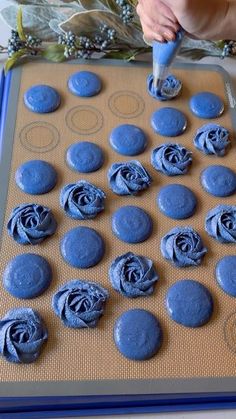 someone is decorating cupcakes with blue icing on a cookie sheet and making them look like roses