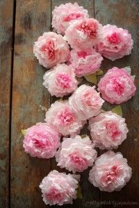 pink carnations are laid out on a wooden surface