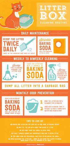 an orange and yellow poster with instructions on how to use the litter box for cleaning