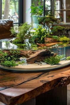 a table that has some plants on it and rocks in the middle with water inside