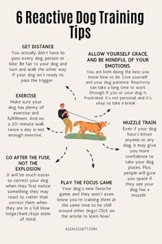 a poster with instructions on how to train a dog in the same way as it is