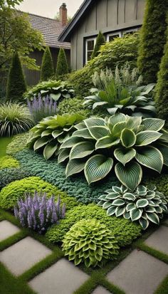 a garden with lots of green plants and flowers on the side of the house, surrounded by stone walkways