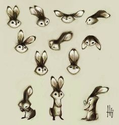 some drawings of rabbits and other animals