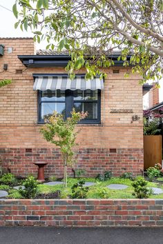 a small tree in front of a brick building with black and white awnings