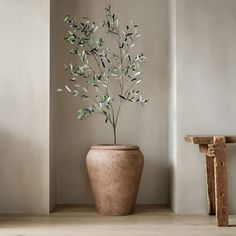 a potted plant sitting on top of a wooden table