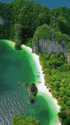 an aerial view of the green water and white sand beach in tropical waters, surrounded by trees