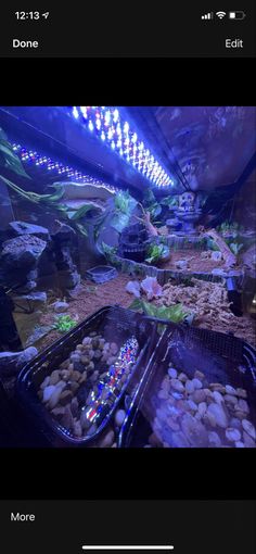 an aquarium with many different types of rocks and plants in the bottom right corner, below which is a fish tank