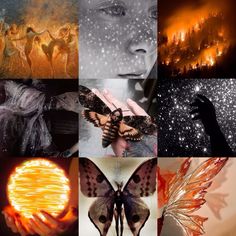 a collage of images with different types of people and animals in the middle one has a butterfly on it