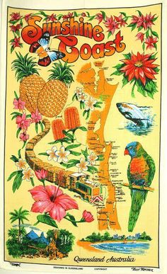 a map of the sunshine coast with tropical flowers and parrots on it's side