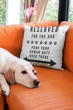 a white dog laying on top of an orange couch next to a pillow that says reserved for the dog