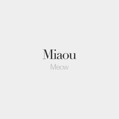 the logo for miaou meow is shown in black and white on a gray background