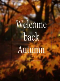 the words welcome back autumn are in front of an image of trees with yellow leaves