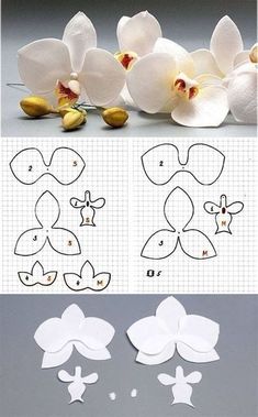 how to make paper flowers with pictures and instructions for making them look like they are cut out