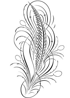 a black and white drawing of a long feather with swirls on the back side