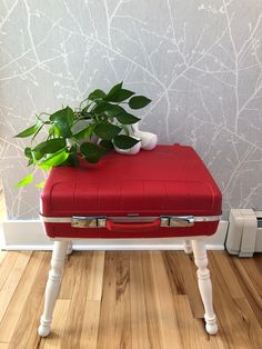 a red bench with a potted plant sitting on it's back legs in front of a wall