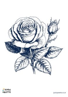 a black and white drawing of a rose