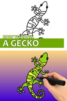 a hand drawing a gecko on a white and purple background