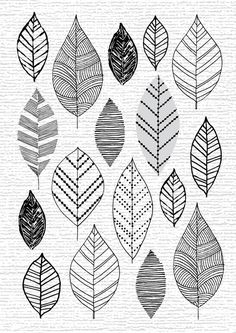 a set of nine hand drawn leaves