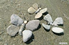 some rocks are arranged in the shape of butterflies