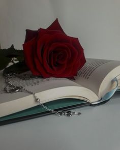 a red rose sitting on top of an open book next to a silver chain necklace