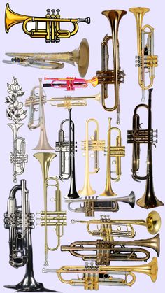 an assortment of musical instruments displayed on a white background, including trumpetes and trombones