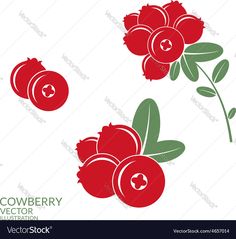 red flowers with green leaves on white background