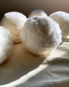 three fluffy white balls sitting on top of a bed next to each other in the sunlight