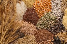 an assortment of grains and seeds on display