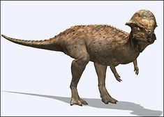 an artist's rendering of a dinosaur wearing a helmet