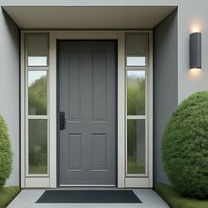 a gray front door with two lights on the side and grass growing in between it