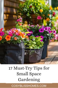 Explore 17 practical tips for maximizing yield in small space gardening with containers and vertical setups. Packed with practical garden ideas to boost your harvest. Smart Pots Gardening, Huge Garden, Fruit And Veggie, Sustainable Landscaping, Eco Friendly Garden, Gardening Hacks, Cozy Outdoor, Vertical Gardens, Low Maintenance Garden