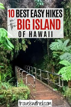 Best Easy Hikes on the Big Island of Hawaii Big Island Hawaii Beaches, Kona Island, Hawaii National Parks, Hawaii Waterfalls, Hawaii Vacation Tips, Hawaii Trip Planning, Big Island Travel, Kailua Kona Hawaii, Hawaii Activities