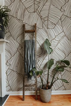 brown banana leaf background, contact paper ,accent wallpaper, brown banana leaf on light background Half Bathroom Wallpaper, Accent Wall Wallpaper, Banana Leaf Wallpaper, Palm Wallpaper, Dining Room Wallpaper, Commercial Wallpaper, Leaves Wallpaper, Removable Wall Stickers, Accent Wall Bedroom