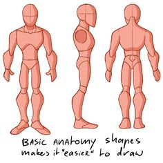 an image of how to draw human body in 3 easy steps step by step instructions