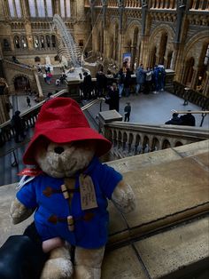 a teddy bear wearing a red hat and blue coat sitting on a ledge in a museum