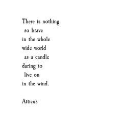 there is nothing so brave in the whole wide world as a candle daring to live on in the wind