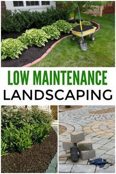 landscaping with the words low maintenance landscaping in green and black text overlaying it