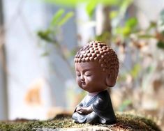 a small buddha statue sitting on top of a moss covered ground