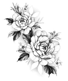 black and white drawing of flowers on a white background, with leaves around the petals